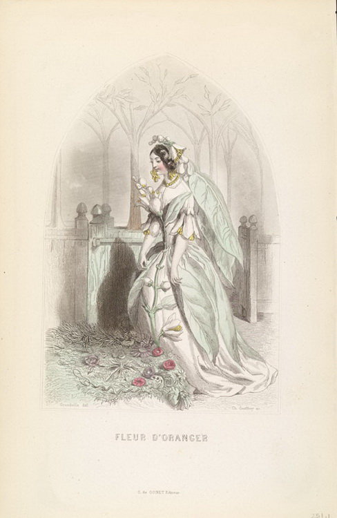 Жерар Гранвиль. - цветы, карикатура., шарж, графика - оригинал