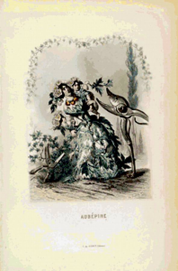 Жерар Гранвиль. - карикатура., шарж, графика, цветы - предпросмотр