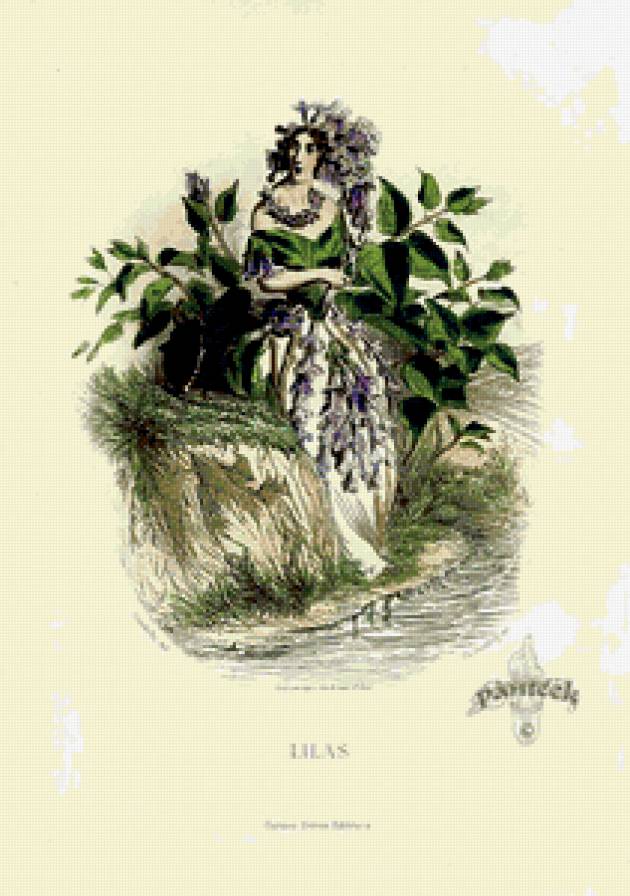 Жерар Гранвиль. - карикатура., шарж, графика, цветы - предпросмотр