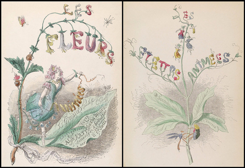 Жерар Гранвиль. - графика, шарж, карикатура, диптих., цветы - оригинал