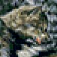 Предпросмотр схемы вышивки «волки» (№242162)