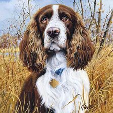 Схема вышивки «№242180»