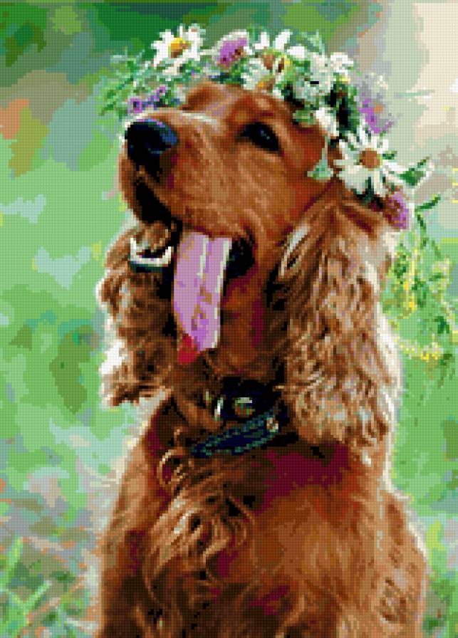 №242247 - предпросмотр