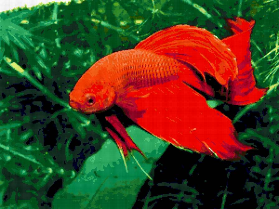 №242277 - предпросмотр