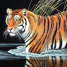 Схема вышивки «№242399»