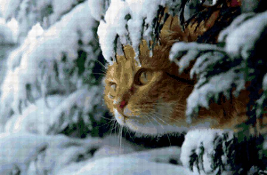 Зимняя котляндия - животные - предпросмотр