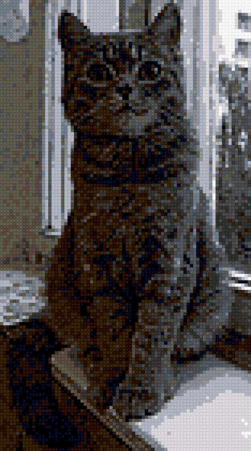 Котэ - предпросмотр