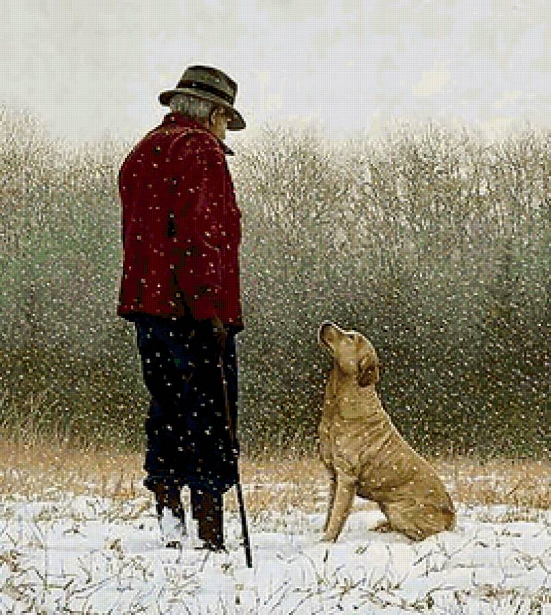 №243111 - предпросмотр