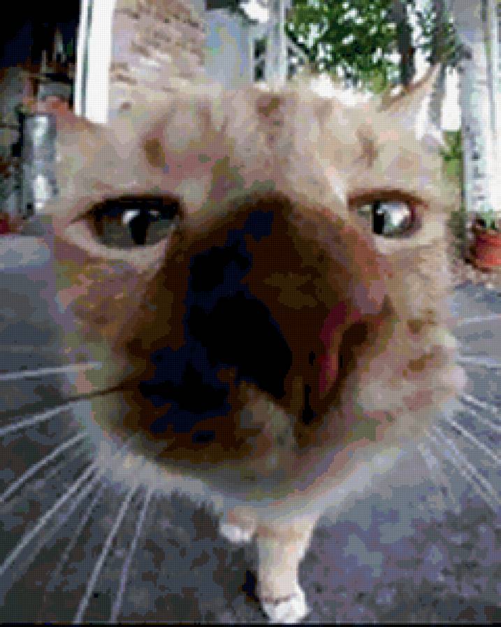 кто там? - предпросмотр