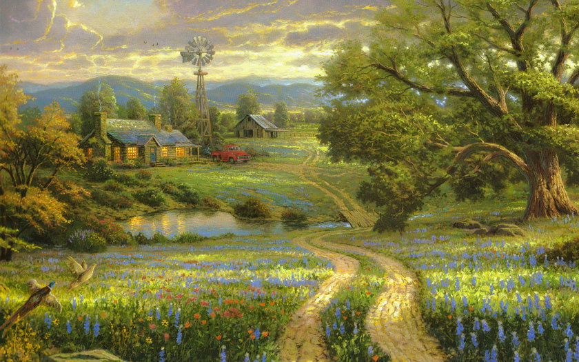 №243163 - оригинал