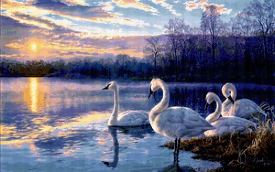 №243173 - предпросмотр