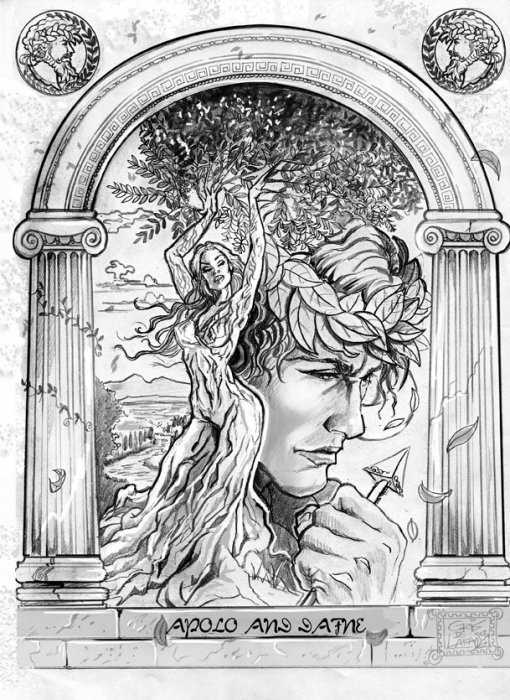 №243302 - оригинал