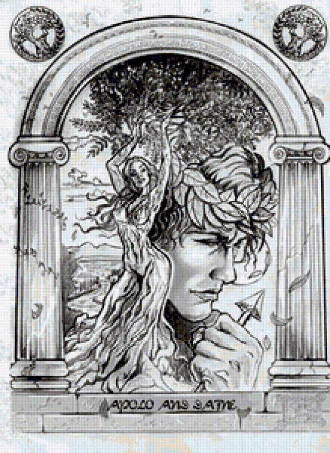 №243302 - предпросмотр