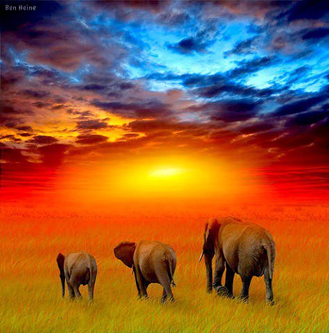 №243305 - оригинал