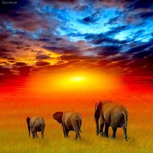 Схема вышивки «№243305»