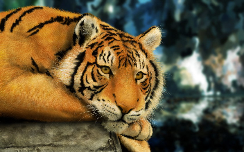 Тигр - животные, тигр, котик, кот - оригинал