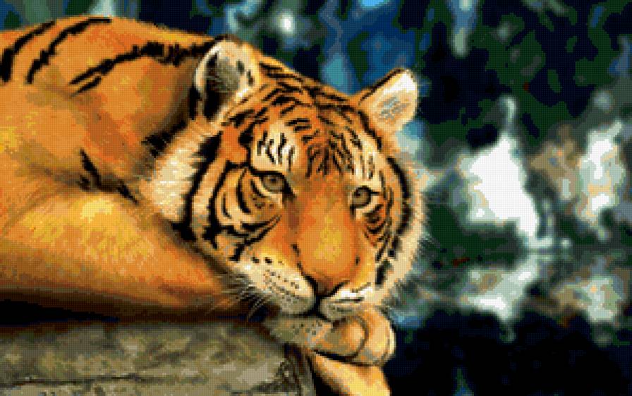 Тигр - котик, животные, кот, тигр - предпросмотр