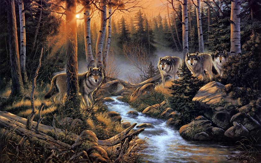 Волки - волки, природа, волк, лес - оригинал