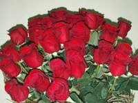 Схема вышивки «Розы.»