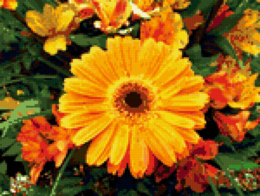 Герберы - цветы, букет, герберы - предпросмотр