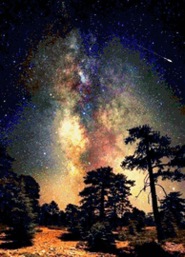 звездное небо - лес, звезды, небо, ночь - предпросмотр