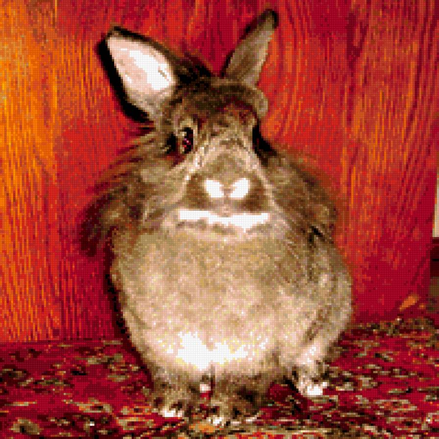 Кролик - кролик, животные - предпросмотр