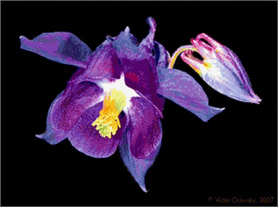 №243933 - предпросмотр