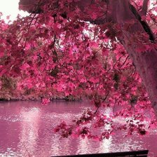 Пейзаж в розовых тонах