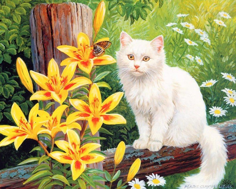 №243997 - цветы, лето, кошки, картины - оригинал