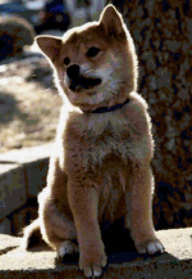 №244115 - предпросмотр