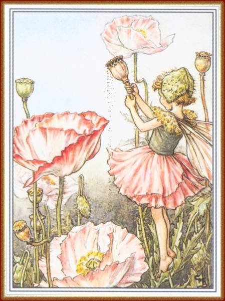 №244126 - оригинал