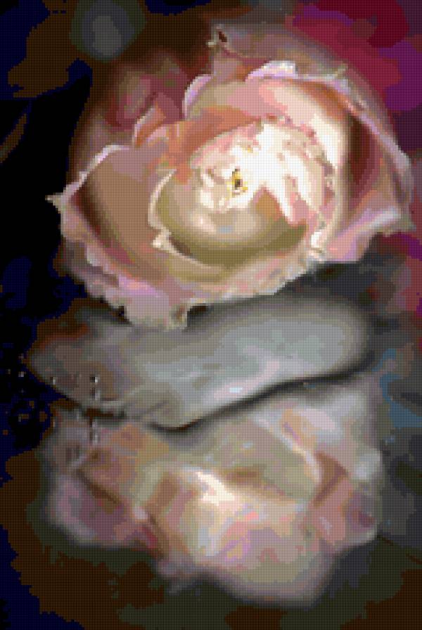 Отражение - роза. отражение. вода. цветы. - предпросмотр