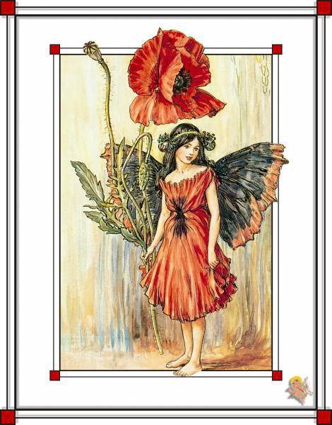 №244242 - оригинал