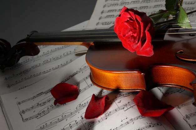 роза и скрипка - оригинал