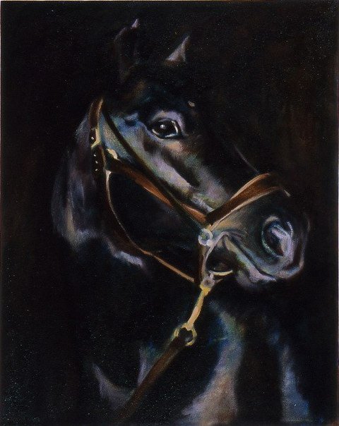 черный конь - оригинал