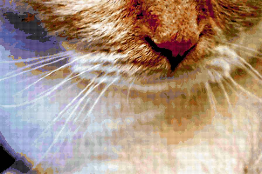 розовый носик - предпросмотр