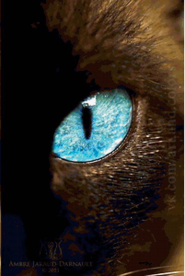 кошачий глаз - предпросмотр