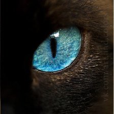 Схема вышивки «кошачий глаз»