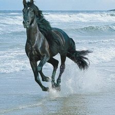 конь бегущий по волнам