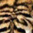 Предпросмотр схемы вышивки «тигр» (№244460)