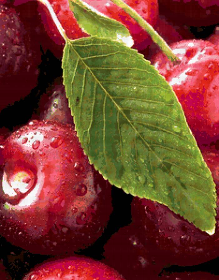 вишенки - предпросмотр