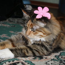 Схема вышивки «ВЭНДИ»