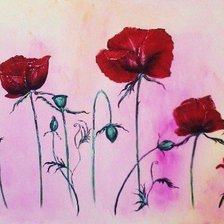 Схема вышивки «МАКИ»