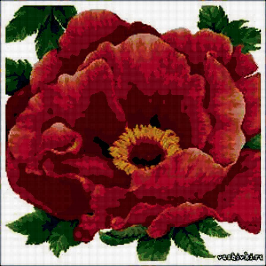 КРАСНЫЙ МАК - подушка, цветы - предпросмотр