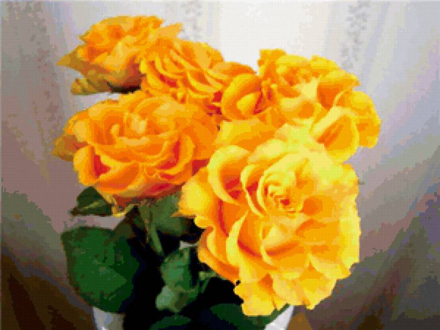Желтые розы - цветы, розы, букет - предпросмотр