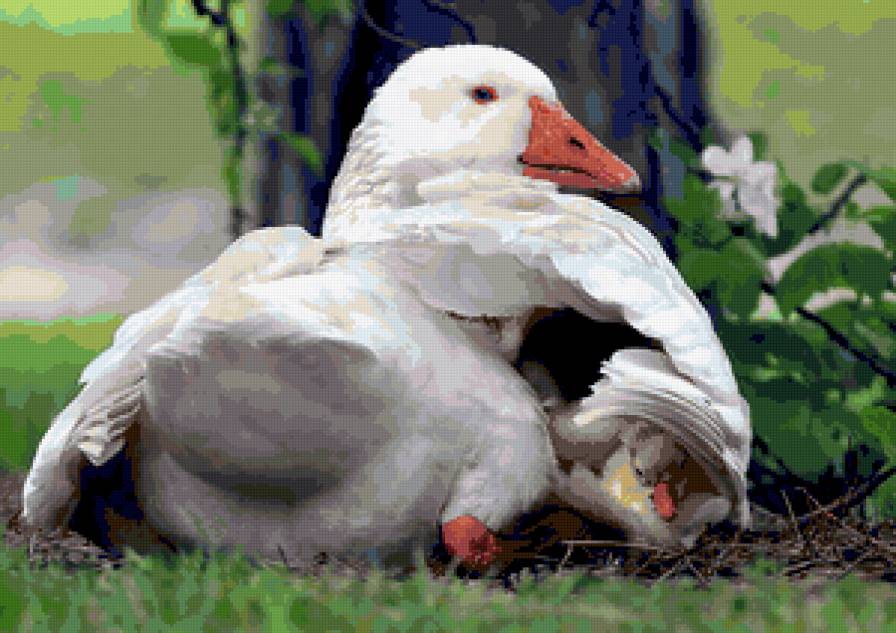 №244692 - предпросмотр