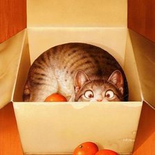 Схема вышивки «кошки»