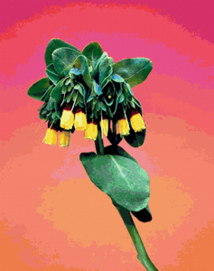 №244730 - предпросмотр