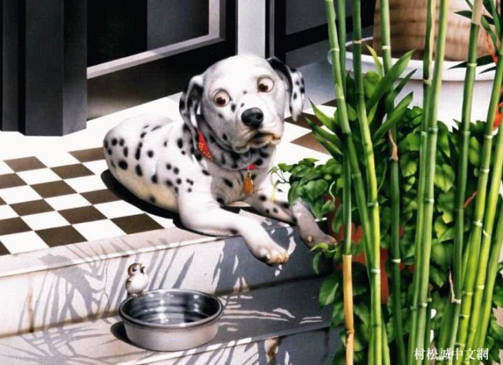 №244732 - оригинал