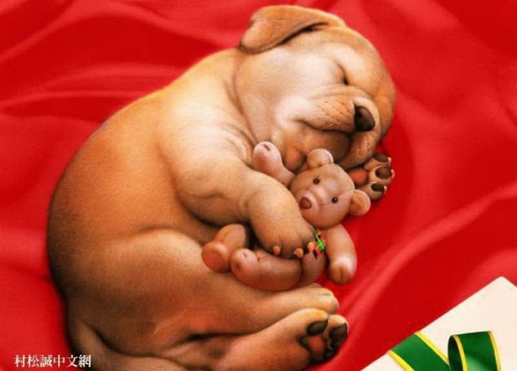 №244736 - оригинал